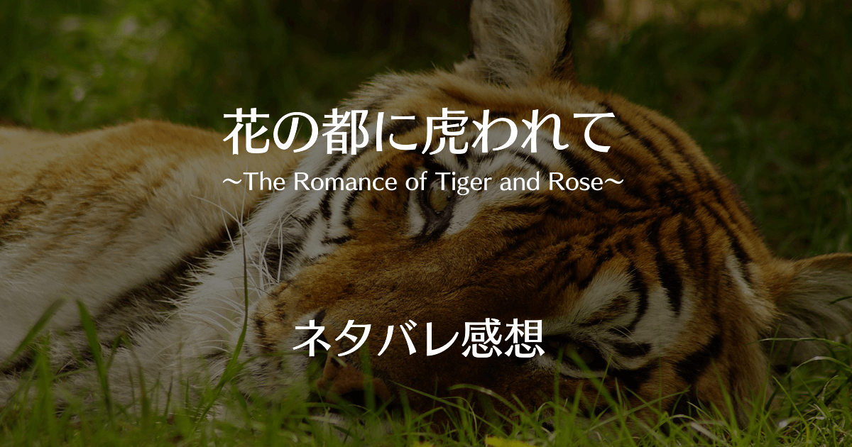 中国ドラマ】花の都に虎（とら）われて～The Romance of Tiger and 
